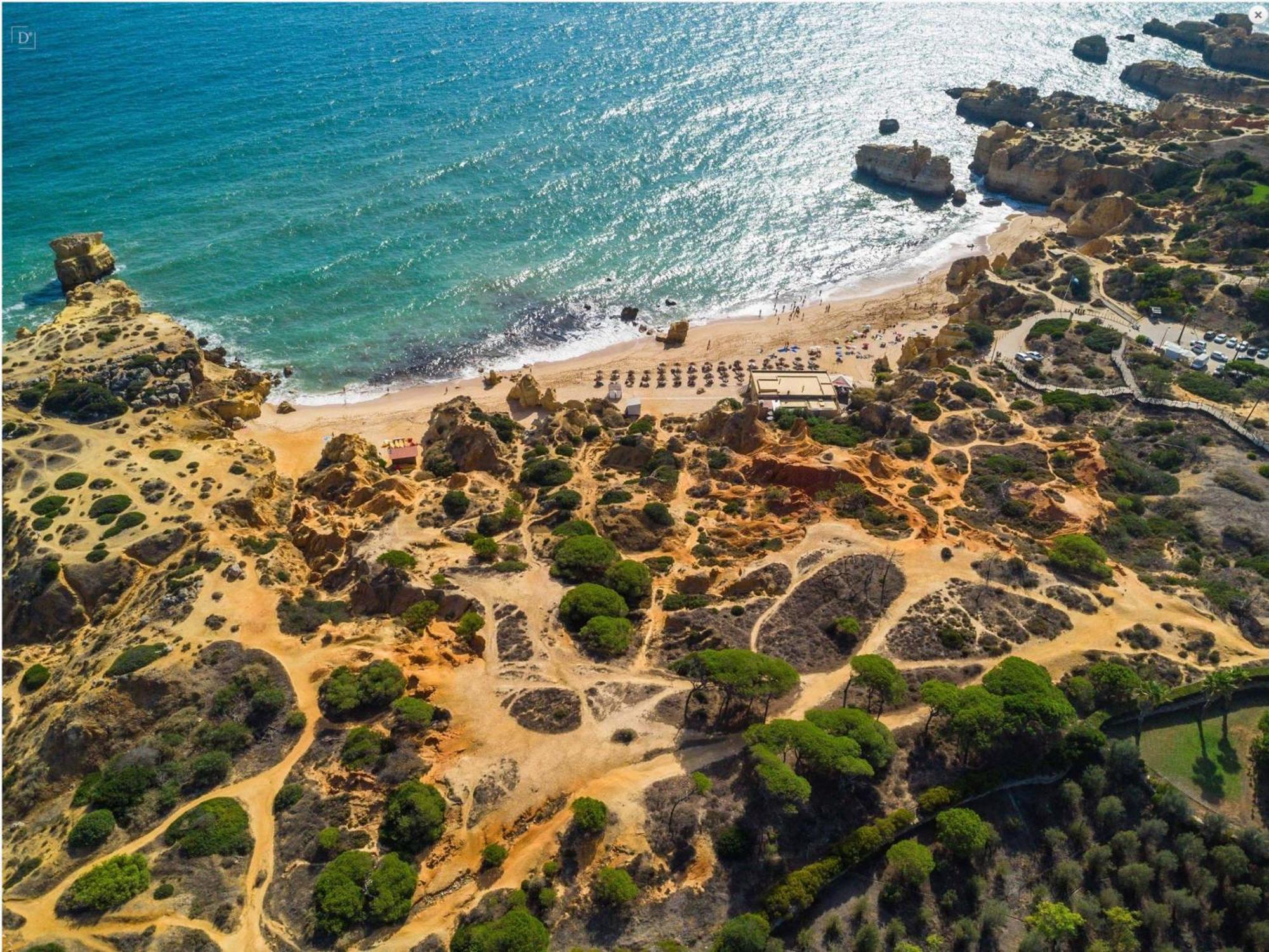 Seacoast Retreat With Pool And Beach Access By Drago Rentals البوفيرا المظهر الخارجي الصورة